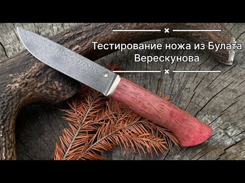 Видео: 🔥 НОЖ ИЗ БУЛАТНОЙ СТАЛИ ВЕРЕСКУНОВА — КРОМКА МИКРОПИЛА! ТЕСТ НА ИЗНОСОСТОЙКОСТЬ! 🔥
