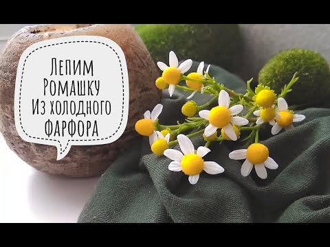 Видео: DIY Ромашка пахучая из холодного фарфора