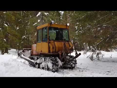 Видео: Лес, работка для ДТ-75.