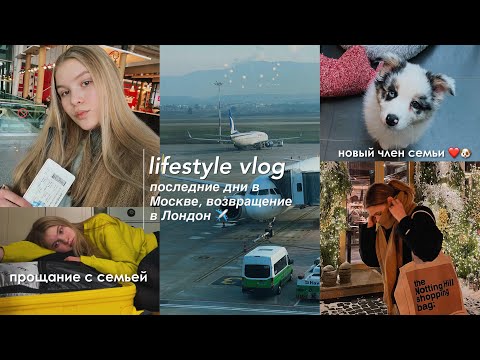 Видео: lifestyle vlog: ✈️ перелет Москва - Лондон, окрашивание в блондинку | мы завели собаку ❤️