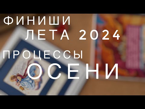 Видео: Финиши и старты осени 2024