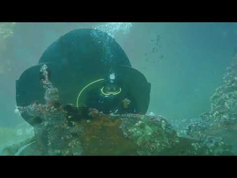 Видео: Японское море . Дайвинг. Карамзин.