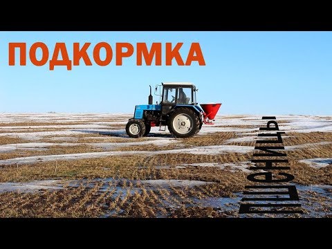 Видео: Подкормка озимой пшеницы 2018.  Первый раз подкармливаем разбрасывателем.