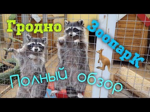 Видео: Гродно зоопарк. Полный обзор