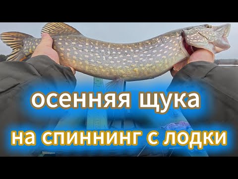 Видео: щука на спиннинг