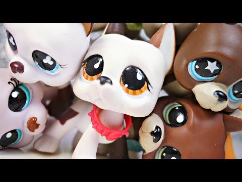 Видео: LPS: МОЯ КОЛЛЕКЦИЯ ДОГОВ