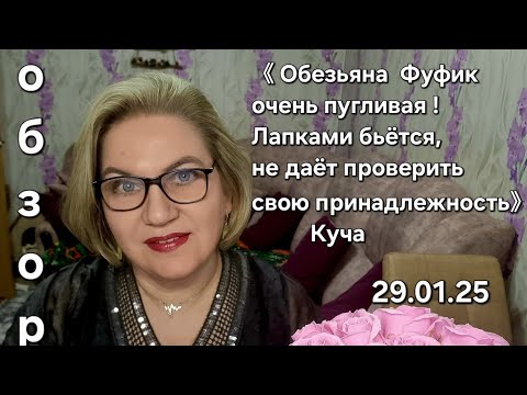 Видео: Обзор. Карма и бумеранги...