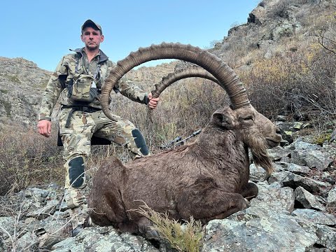Видео: Охота на Джунгарского козерога в Казахстане 2024. - Dzungarian Ibex Hunting in Kazakhstan 2024.