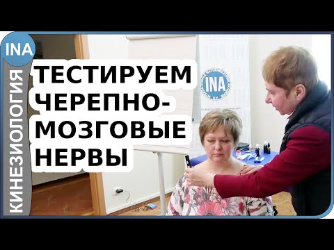 Видео: Тестируем черепно мозговые нервы. Прикладная кинезиология. Людмила Васильева