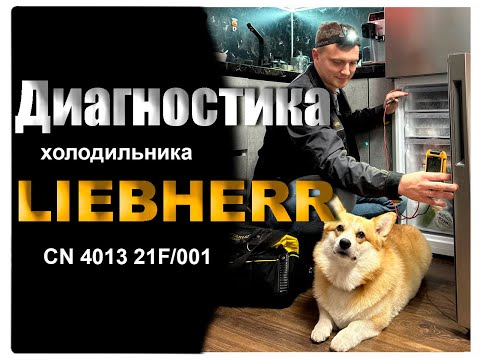 Видео: Диагностика холодильника Liebherr CN 4013