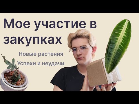 Видео: ЗАКУПКА / НОВЫЕ растения / Пересадка и адаптация
