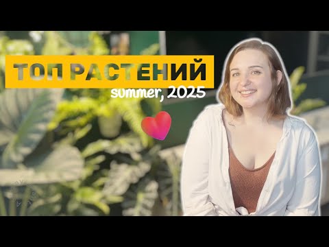 Видео: Летние любимчики | ТОП РАСТЕНИЙ лета 2025