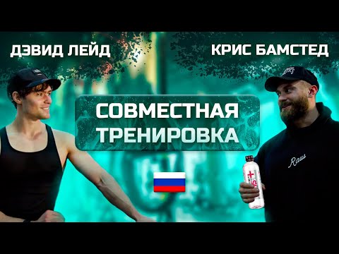 Видео: КРИС БАМСТЕД И ДЕВИД ЛЕЙД! Совместная тренировка на Русском