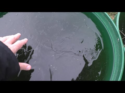 Видео: НА УЧАСТКЕ 2 СЕЗОН  107 ВИДЕО ОТ АЛЕКСАНДРА ИГРОФФ