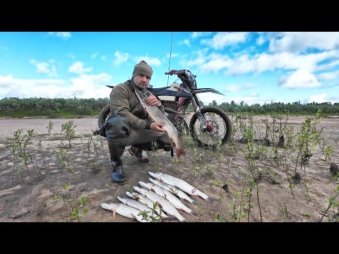 Видео: ТЯЖЕЛЫЙ ВЫЕЗД ЗА ЩУКАМИ. СНЕГОХОДЫ НА БОЛОТЕ. РЫБАЛКА НА КРАЙНЕМ СЕВЕРЕ.