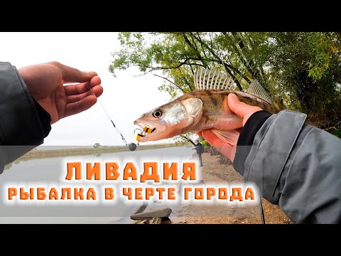 Видео: Ливадия. Рыбалка с дядей Сережей на реке Казанка.