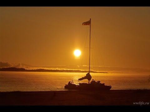 Видео: Амур