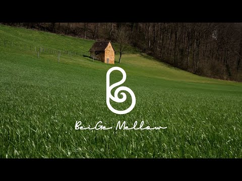 Видео: Время только для себя☘️ Исцеляющая фортепианная музыка для душевного спокойствия