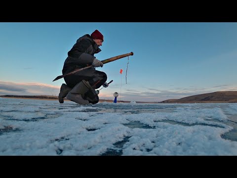 Видео: Отошли на пять минут, ВЕРНУЛИСЬ, А ПАЛАТКА ПЕРЕВЁРНУТА! Рыбалка на балансир и жерлицы, С ночевкой.