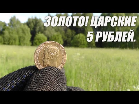 Видео: Золото! Царские 5 рублей. Докапываю клад.