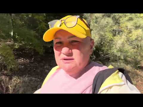 Видео: На меня "наехали" и побили машину\США