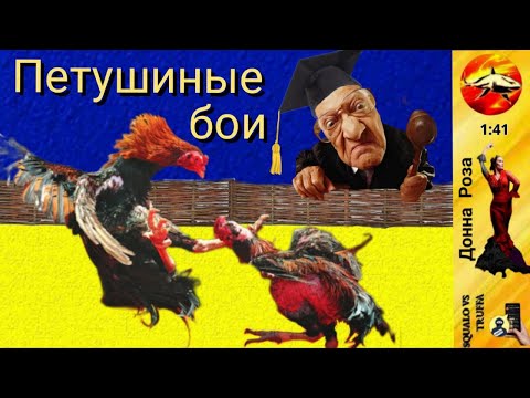 Видео: Телефонное мошенничество.Автор - Наталья Рамирес.