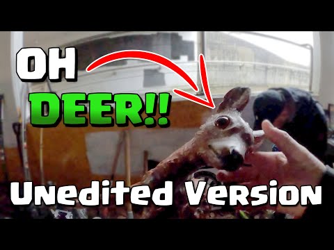 Видео: Пойдём со мной на загрузку машины — 51 минута неразрезанных кадров из загрузки машины