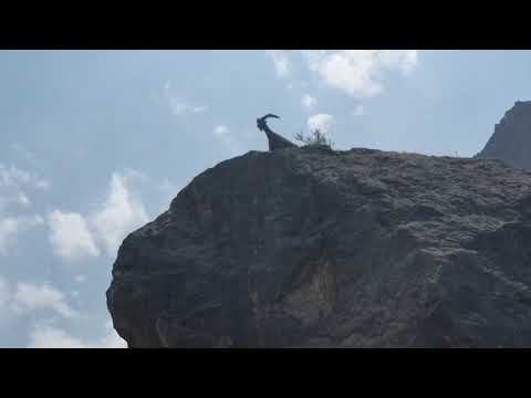 Видео: Кыргызстан, баткенская область Кадамжай с Орозбекова