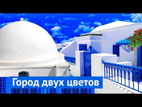 Видео: Тунис: дизайн-код столетней давности