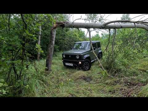 Видео: Грибное приключение. Буксуем. Проходим препятствия на  Suzuki Jimny.