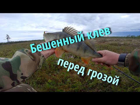 Видео: Одиночный поход. Один в лесу. 14 км по тайге. Ловля крупного окуня на воблер. Продолжение.