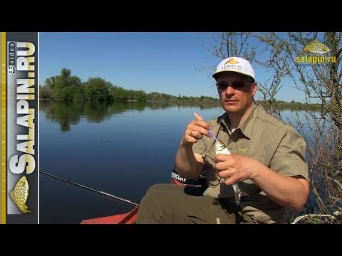 Видео: Поплавочная рыбалка на Ахтубе в мае [salapinru]