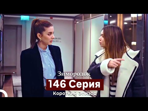 Видео: Зимородок 146 Cерия (Короткий Эпизод) (Русский дубляж)
