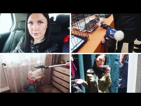 Видео: VLOG💜: В ДОБРЫЕ РУКИ, ЛАЙФХАК ОТ АРТЁМА, ИДЁМ В ГОСТИ // Family K // 2.03.19