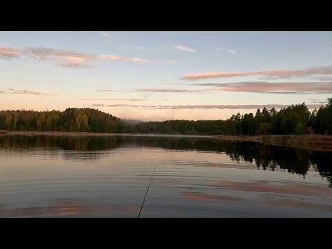 Видео: Рыбалка в Латгалии.