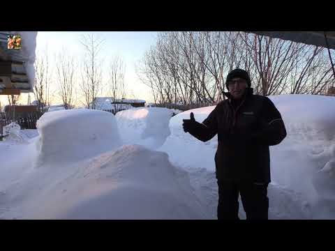 Видео: Вот дурак❗  Срочно раскапываю сугробы и кормлю пчёл❗