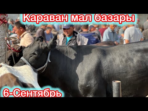 Видео: Караван мал базары !!! ОТО КОП МАЛ  КИРДИ !!!! 6-Сентябрь 