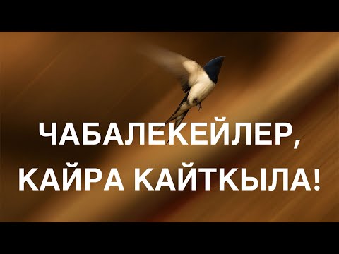 Видео: Абдыкерим Муратов | Чабалекейлер, кайра кайткыла! | аудио китеп