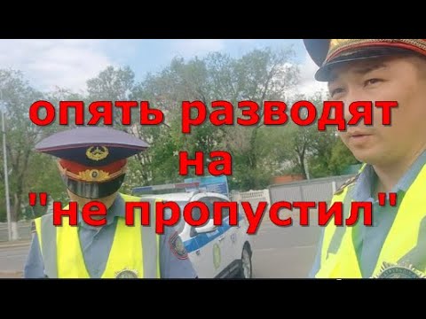 Видео: Опять разводят на не пропустил. Глас народа.