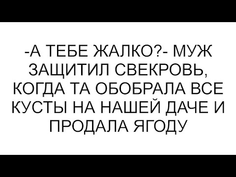 Видео: -А тебе жалко?- муж защитил свекровь, когда та обобрала все кусты на нашей даче и продала ягоду