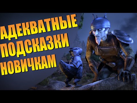 Видео: Адекватные Советы Новичкам ТЕСО!