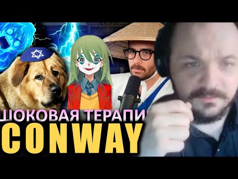 Видео: Conway про Хасана и собаку / Жмиль смотрит