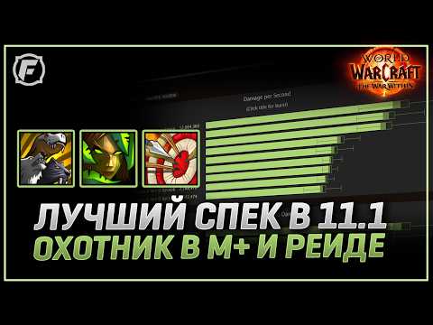 Видео: Кем играть в 11.1, ММ, БМ, Сурв? WoW: The War Within (2 сезон)