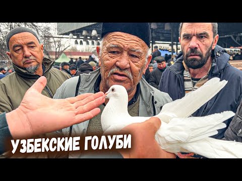 Видео: ТАШКЕНТ. ПТИЧИЙ РЫНОК. ГОЛУБИ. САМЫЙ БОЛЬШОЙ БАЗАР СЕГОДНЯ КАРАКАМЫШ