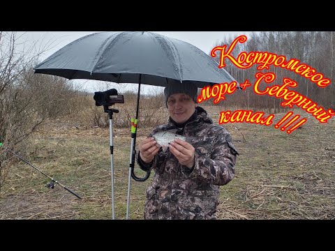 Видео: Рыбалка на фидер,  Костромское море и Северный  канал!!!!