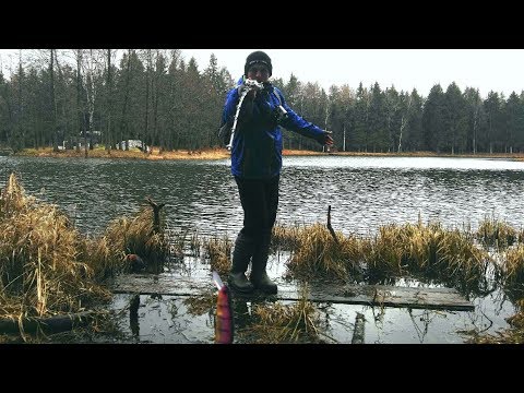 Видео: ЗАБРОС МУЛЬТИПЛИКАТОРНОЙ КАТУШКОЙ! ТОП 5 ПРАВИЛ НАСТРОЙКИ МУЛЬТИПЛИКАТОРА! РЫБАЛКА В БЕЛАРУСИ 2020!