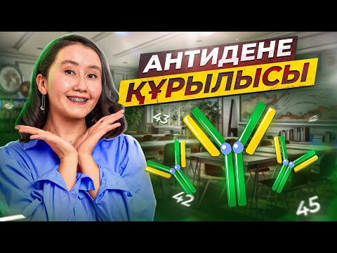 Видео: АНТИДЕНЕ ҚҰРЫЛЫСЫ  | ҰБТ Биология 2024