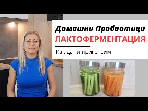 Видео: Как Да Си Направим Домашни Пробиотици (Млечнокисела Ферментация на Зеленчуци)