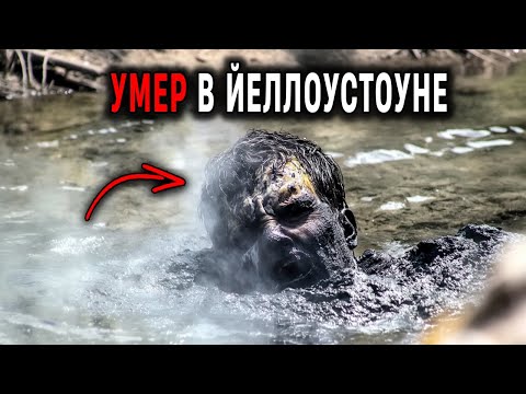 Видео: Темная Сторона Йеллоустона: Ужасные ФАТАЛЬНЫЕ ТРАГЕДИИ!
