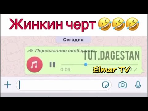 Видео: Голосовые приколы )))) смеяться разрешается